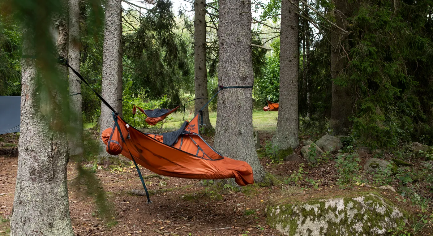 En hängmatta som hänger mellan två träd i en skog.
