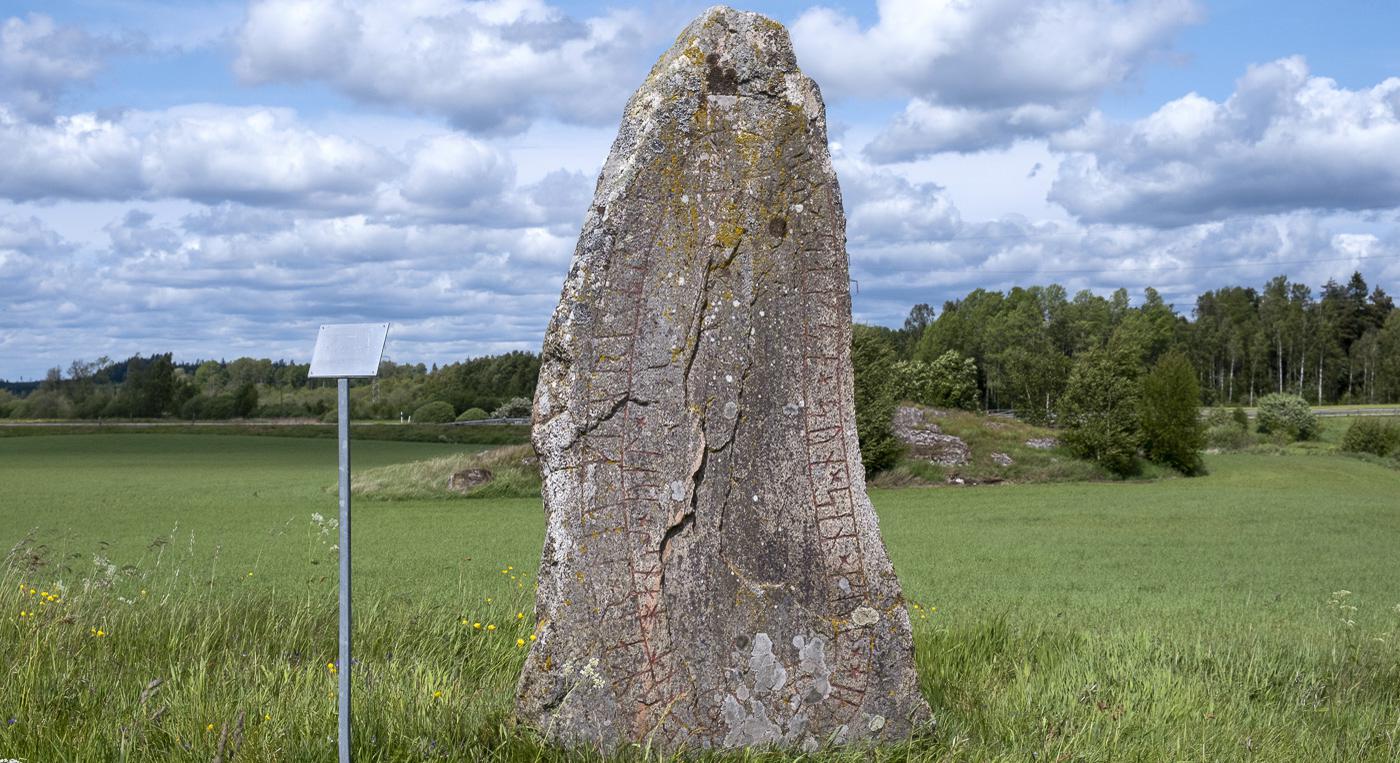 En stor runsten mitt på ett fält.