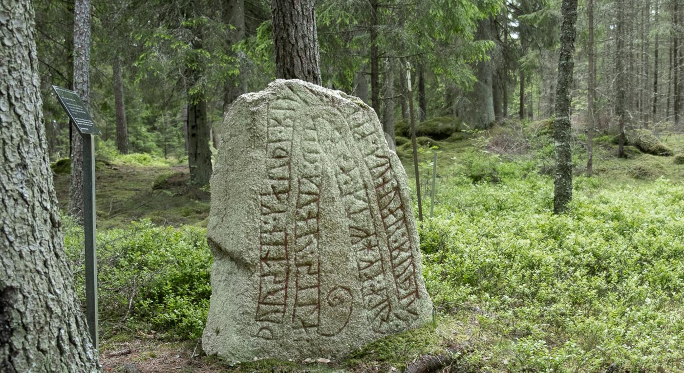 En runsten i en skog.