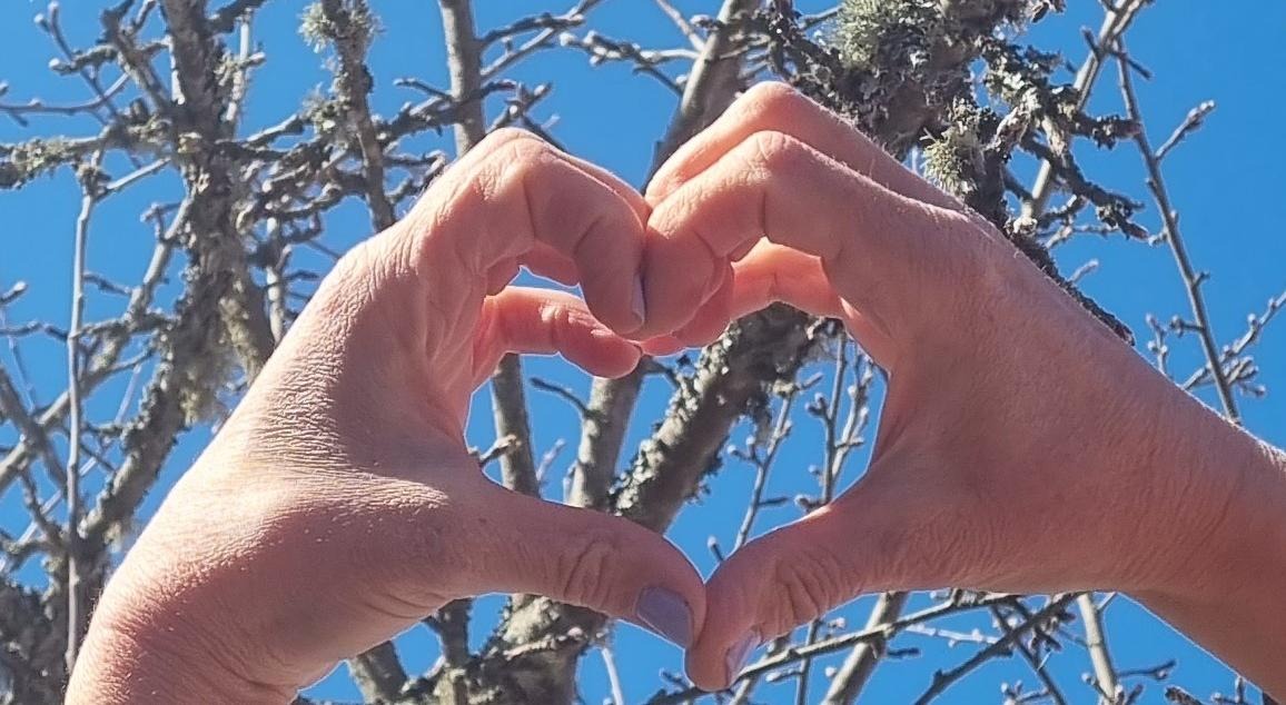 två händer som bildar ett hjärta