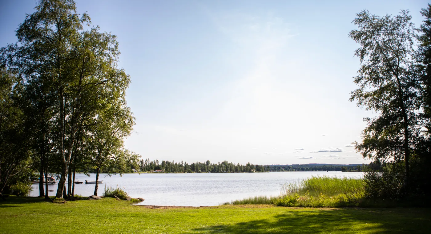 En grässtrand med utsikt över en sjö i vackert sommarväder.