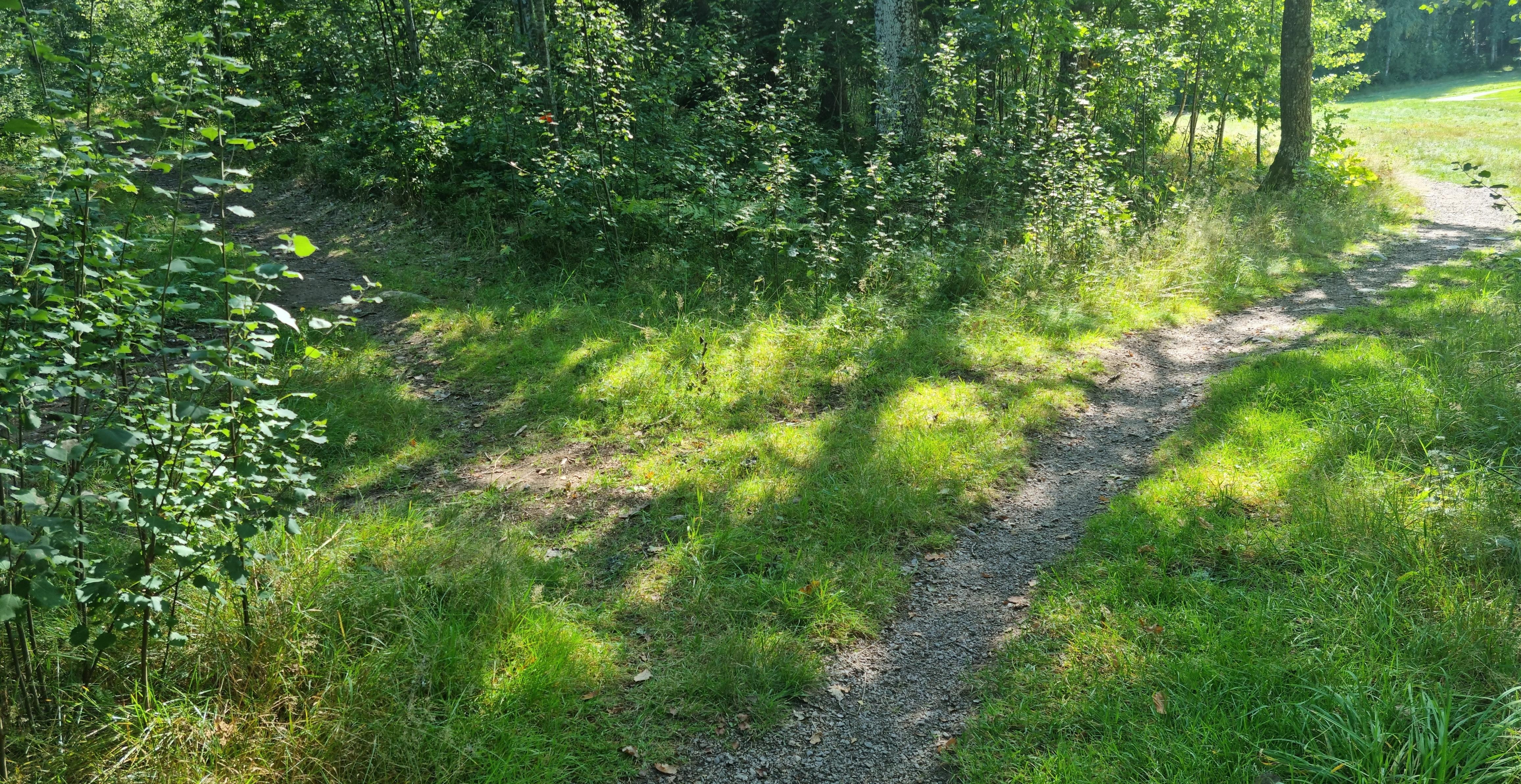 två stigar i grön område